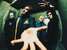 spineshank-307548.jpg