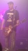 harlej-421206.jpg