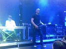 pavol-habera-297174.jpg