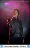 pavol-habera-423445.jpg