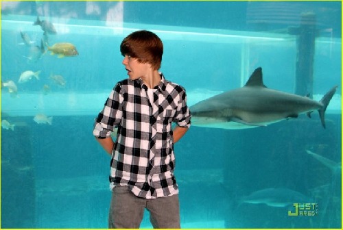 Justin Bieber
