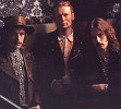 cream-151242.jpg