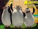 madagaskar-57543.jpg