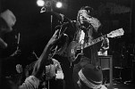 bob-marley-231780.jpg