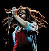 bob-marley-231783.jpg