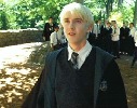 tom-felton-47462.jpg