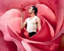 michael-jackson-438471.jpg