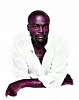 seal-38508.jpg
