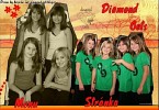 diamond-cats-58973.jpg