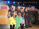 diamond-cats-61234.jpg