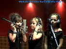 diamond-cats-61243.jpg