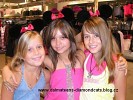 diamond-cats-61244.jpg