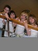 diamond-cats-68442.jpg