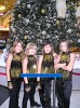 diamond-cats-72490.jpg