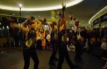 diamond-cats-73053.jpg