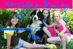 diamond-cats-74305.jpg