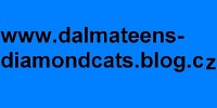 diamond-cats-75217.jpg