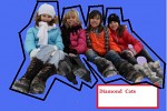 diamond-cats-85196.jpg