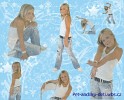 diamond-cats-87746.jpg