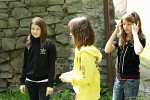 diamond-cats-88278.jpg