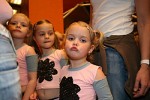 diamond-cats-93996.jpg