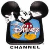 pisnicky-z-disney-channel-216862.jpg