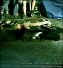 the-devil-wears-prada-100848.png