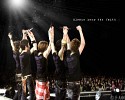 dbsk-jyj-402344.jpg