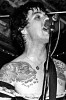 pinhead-gunpowder-240473.jpg