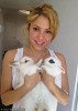 shakira-427324.jpg