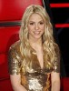 shakira-435888.jpg