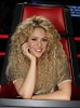 shakira-439114.jpg