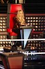 shakira-446202.jpg