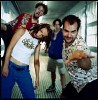 guano-apes-216773.jpg