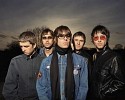 oasis-44597.jpg