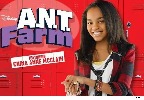 farma-r-a-k-a-n-t-311907.jpg