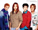 tion-277432.jpg