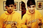 zayn-malik-304630.jpg
