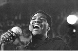 otis-redding-293661.jpg
