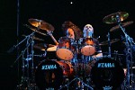 metallica-348034.jpg