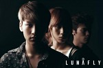 lunafly-434062.jpg