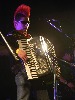 driak-390288.jpg