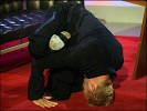 sting-9066.jpg
