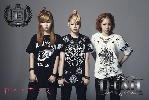 d-unit-435190.jpeg