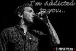 simple-plan-415994.jpg