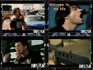 simple-plan-416009.jpg