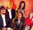 korn-28903.jpg
