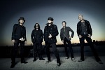 scorpions-194432.jpg