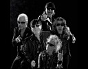 scorpions-219519.jpg