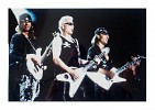 scorpions-47069.jpg